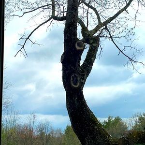 Meet your Posher, Loredana